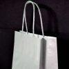 Sacs Shopping Papier Mat Argent & Or Minis 18cm Italie XS Lots de 10 sacs