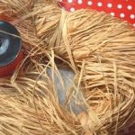 Raphia naturel en botte de 1kg
