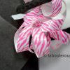 Rubans Bolducs Zèbre Noir Blanc Rose 10mm MIF France