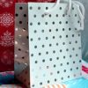 Sacs Papier Pois Argents PM et MM