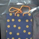 Sacs Transparents en plastique MM 35cm MIF France recyclable